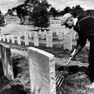 Mr Thomas Fox tidying graves at the German War Cemetery on Cannock Chase Mr Thomas Fox tidying graves at the German War Cemetery on Cannock Chase