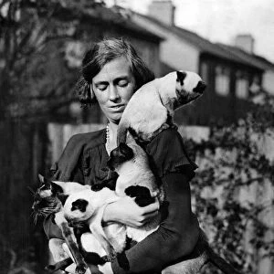 Mrs Catt from Carshalton Beeches with some of her Siamese cats