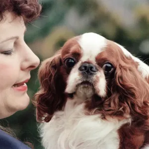 Mrs Julia Huggins with King Charles Spaniel, Theron, who is the living breed record Mrs Julia Huggins with King Charles Spaniel, Theron, who is the living breed record