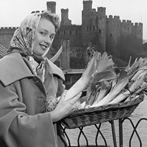 Mrs Margaret Kenyon holding a basket of leeks as she stands in front of Conwy Castle in