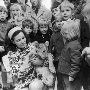 Mrs Maureen Waite, of Coventry Zoo holds Richard the lion cub after he had opened a Mrs Maureen Waite, of Coventry Zoo holds Richard the lion cub after he had opened a