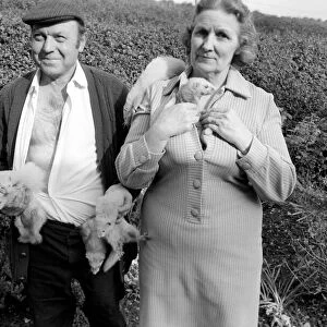 Mrs Queenie Robinson pictured with her husband her pet Ferrets. May 1975