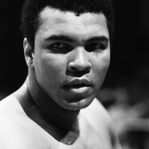Muhammad Ali Training Print - 4th February 1973