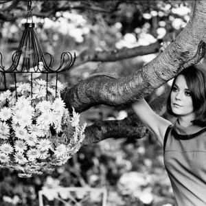 Natalie Wood actress in garden Natalie Wood actress in garden
