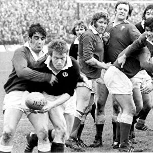 Five Nations match at Murrayfield. Scotland v Wales