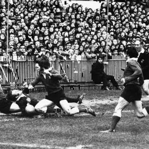 1974 Wales v Scotland Five Nations Rugby Print 1974 Wales v Scotland Five Nations Rugby Print