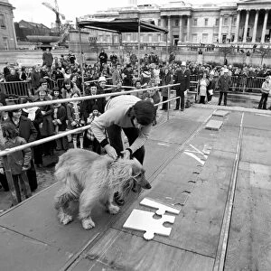 The NCH giant jig saw campaign in Trafalgar Square, Disc jockey Ed Stewart placed part of
