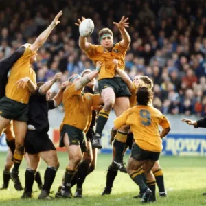 Neath 8-16 Australia, 1992 Australia rugby union tour of Europe Neath 8-16 Australia, 1992 Australia rugby union tour of Europe