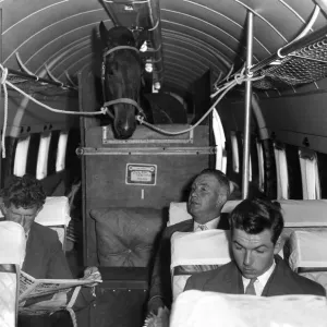 Neelia Maclean party at Southend Airport. Horse loaded in Viking aircraft Neelia Maclean party at Southend Airport. Horse loaded in Viking aircraft