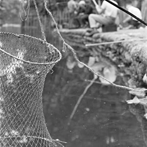 Keep net belonging to boys fishing in Battersea Park 7th August 1963
