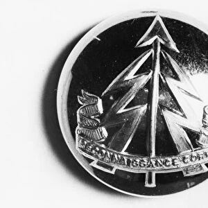 The new button badge of the Reconnaissance Corps: a vertical spear supported on each side