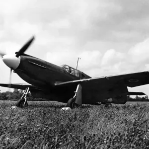 The new fighter of the R. A. F. the Mustang, this American built aircraft is now The new fighter of the R. A. F. the Mustang, this American built aircraft is now