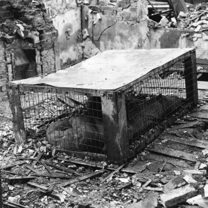 Print of an Indoor Table Air Raid Shelter, 29th March 1941 Print of an Indoor Table Air Raid Shelter, 29th March 1941