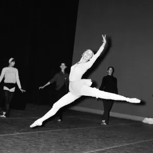 The New York City Ballet Print The New York City Ballet Print