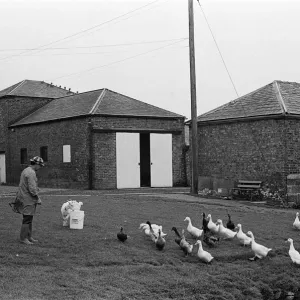 Newham Grange Leisure Farm, Coulby Newham, Middlesbrough, North Yorkshire. June 1980