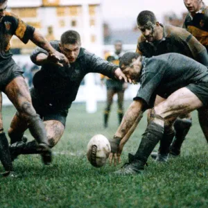 Newport v Neath Print, 30 December 1990