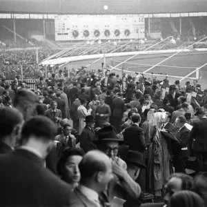 A Night at the Dogs, White City Stadium, London Print 1946 A Night at the Dogs, White City Stadium, London Print 1946