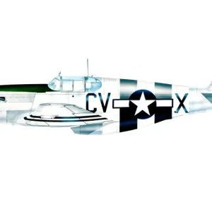 A North American Mustang long range fighter A North American Mustang long range fighter