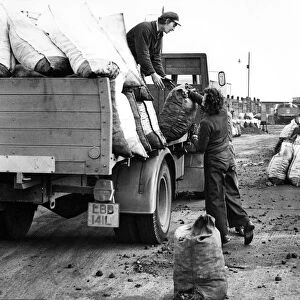 North East coal company men load up a wagon with coal and coke in their yard next to