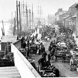 North shields fish quay in 1910. Sail still outnumbers steam and the horse