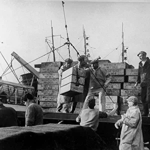 North Shields Fish Quay c. 1955
