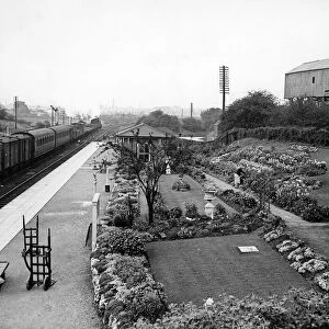 Nuneaton Abbey Street Station, which came top in the station gardens competition