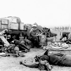 Royal Army Medical Corps Officers at Rest, Northern France Print Royal Army Medical Corps Officers at Rest, Northern France Print