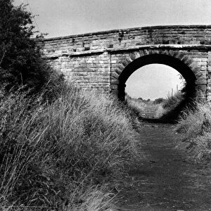 The old railway track that is now a nature trail on 29th August 1972