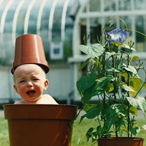 Oliver McNulty sits in a flower plant pot with a pot on top of head crying at