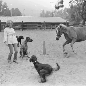 Olivia Newton John, singer and actor, pictured at home in Malibu, California, America Olivia Newton John, singer and actor, pictured at home in Malibu, California, America