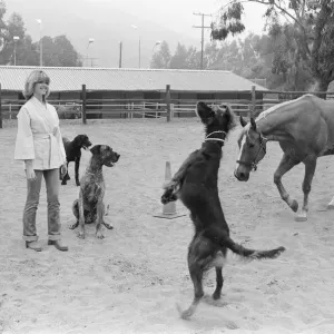 Olivia Newton John, singer and actor, pictured at home in Malibu, California, America Olivia Newton John, singer and actor, pictured at home in Malibu, California, America