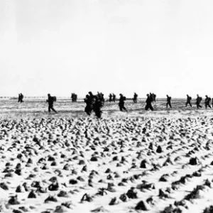 Operazione Schwarzkäfer war eine Operation im Zweiten Weltkrieg, um deutsche Truppen aus der Region Roer zu entfernen