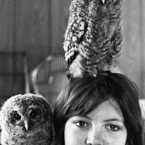 These orphaned baby Tawny Owls have decided to use their rescuer as their perch These orphaned baby Tawny Owls have decided to use their rescuer as their perch