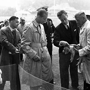 Outside, the Duke of Edinburgh owned a raincoat and visited the Beagles kennels at