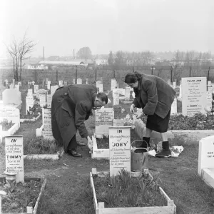 Black and White Print of Owners at Pets Cemetery Black and White Print of Owners at Pets Cemetery