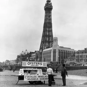 An Oyster stall selling shell fish on the beach in front of the iconic Blackpool Tower