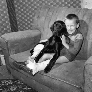 Two Pals in the Same Fix - Print, 24th October 1960