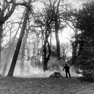 Park Ranger Gathering Leaves Print, Stewart Park, Middlesbrough