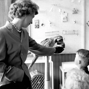 Parrot in pet shop watched by children, Coventry July 1962 Local Caption Parrot in pet shop watched by children, Coventry July 1962 Local Caption