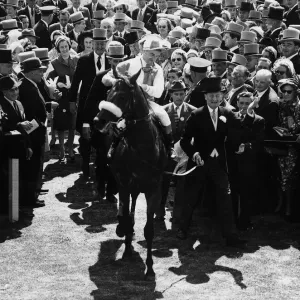 Parthia Print - 1959 Epsom Derby Winner