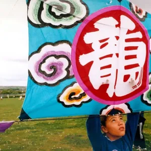 A participant in the annual kite festival at Washington in June 1995