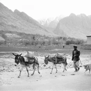 Pashtun Tribesman with Donkeys, Darra Adam Khel Print, 1977 Pashtun Tribesman with Donkeys, Darra Adam Khel Print, 1977