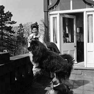 Pat Phoenix at home with her dogs. 16th April 1968