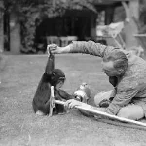 Pattie the chimpanzee, appreciates a little assistance on the never ending problem of Pattie the chimpanzee, appreciates a little assistance on the never ending problem of