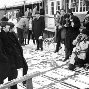 Paul McCartney, John Lennon and Ringo Starr, in New Yorks Central Park