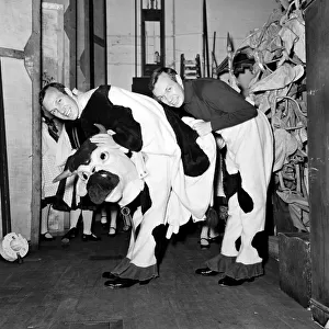 People are amazed when the head and rear end of the cow come off in the Palace Pantomime