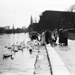 People Feeding Swans Print, Stratford-upon-Avon 1959 People Feeding Swans Print, Stratford-upon-Avon 1959