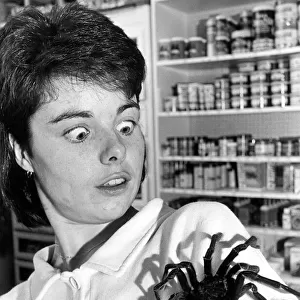 Pet shop assistant Andrea Youll with Harry, believed to be the largest spider in