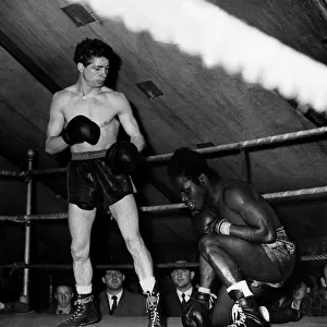 Peter Keenan standing in ring next to fallen opponent. Circa 1956