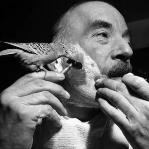 Pietro su la rasoiere del signor Reg Newmans. Febbraio 1953 D869-001 Pietro su la rasoiere del signor Reg Newmans. Febbraio 1953 D869-001